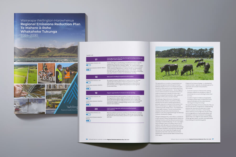 Public Sector Plan Design