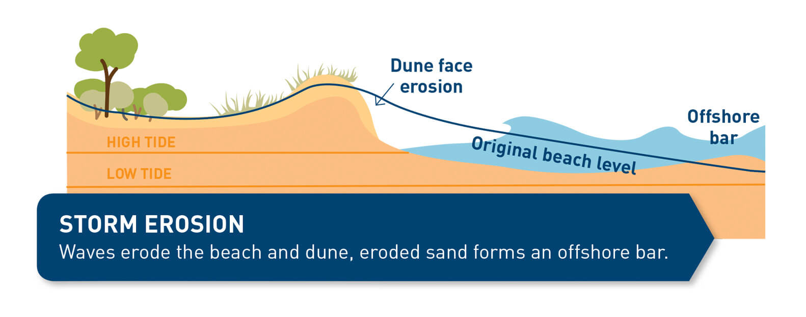 Illustration of a dune in profile