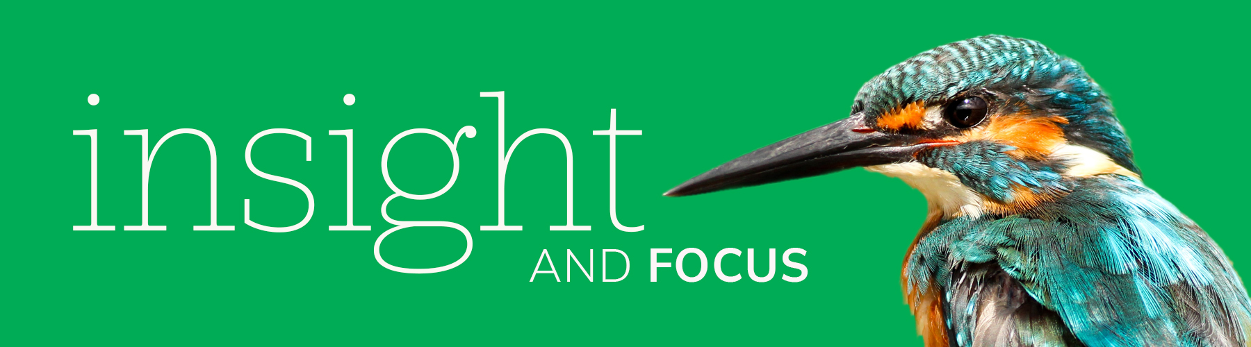 Header SERVICES Insight 2024
